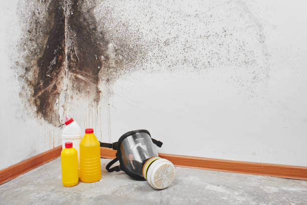 Best Crawl Space Mold Removal  in Girard, OH