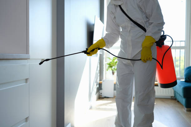 Best Emergency Mold Removal  in Girard, OH