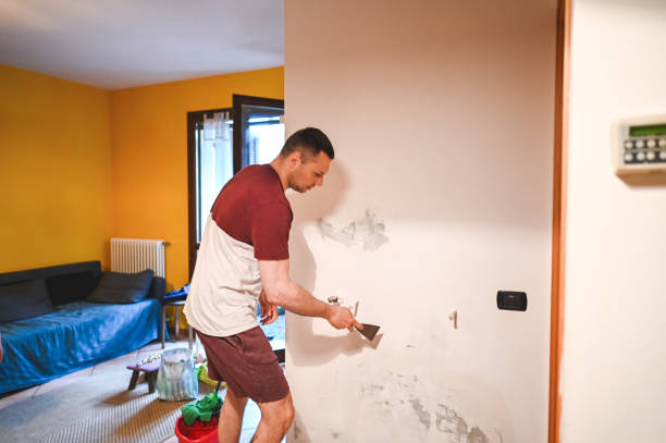 Best Mold Cleaning Services  in Girard, OH